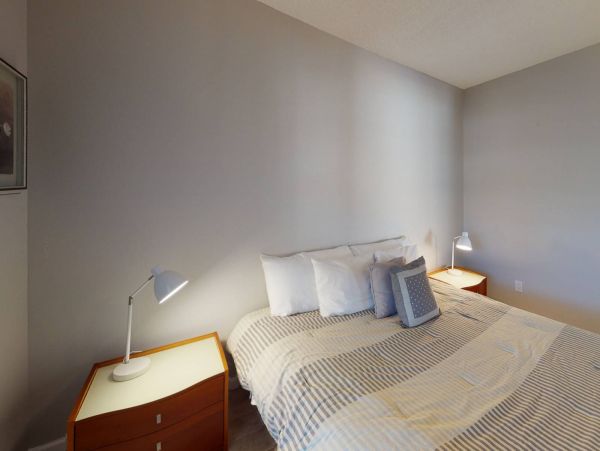 Treasure Island Condo 1017392