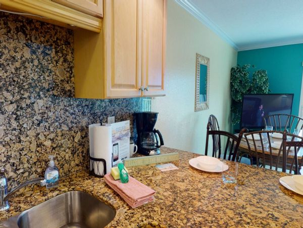 Treasure Island Condo 1017393