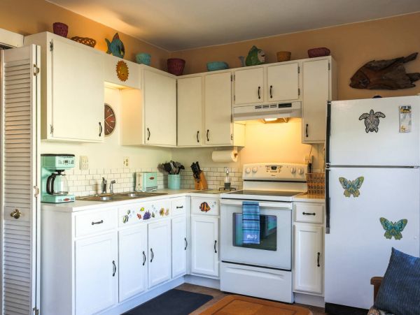 Treasure Island Condo 1017396