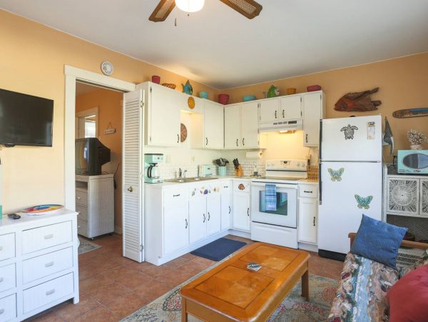 Treasure Island Condo 1017396