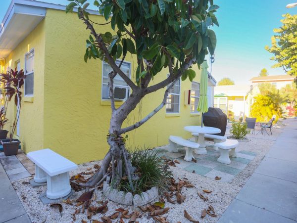 Treasure Island Condo 1017396
