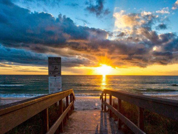 Treasure Island Condo 1017396