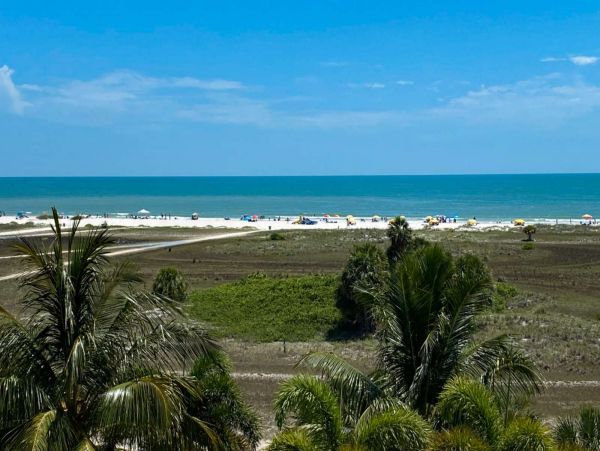 Treasure Island Condo 1017397