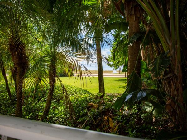 Treasure Island Condo 1017397