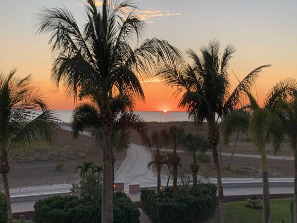 Treasure Island Condo 1017398