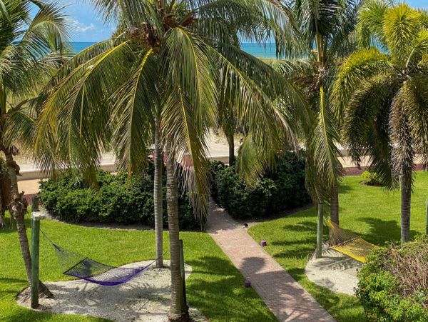 Treasure Island Condo 1017398