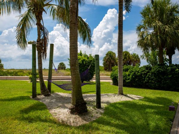 Treasure Island Condo 1017398