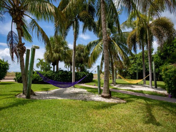 Treasure Island Condo 1017398