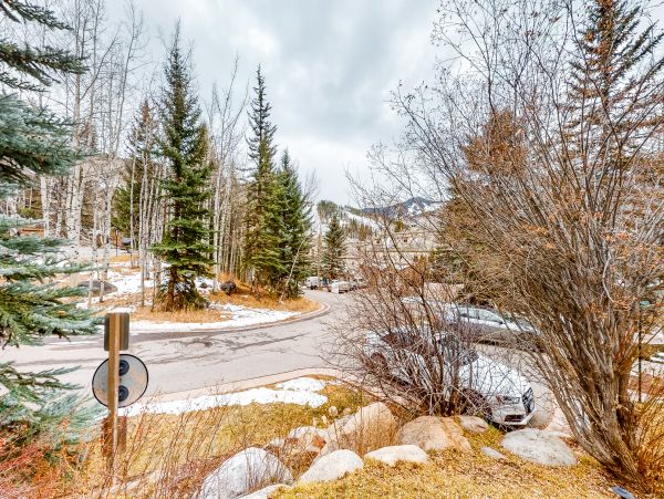 Beaver Creek Bachelor Gulch Home 1017401
