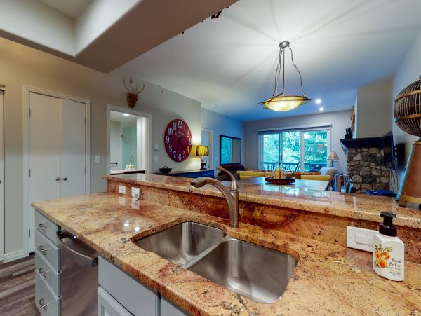 Beaver Creek Bachelor Gulch Home 1017407