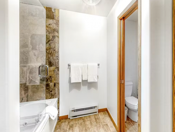 Ski in Ski Out Luxury Penthouse Beaver Creek