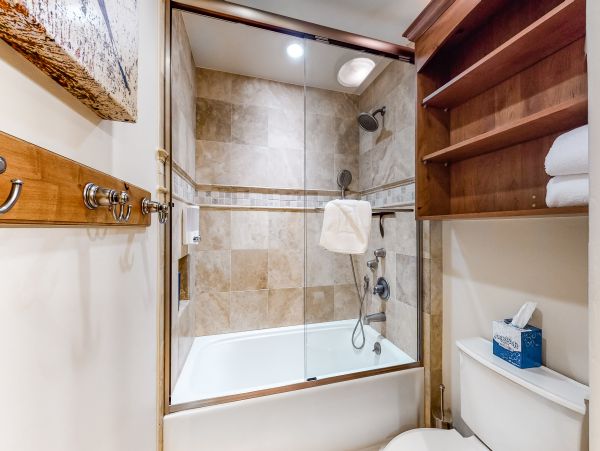Beaver Creek Bachelor Gulch Home 1017409
