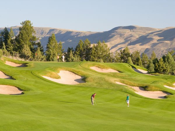 Beaver Creek Bachelor Gulch Home 1017409