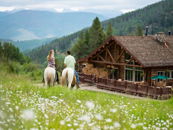 Beaver Creek Bachelor Gulch Home 1017409