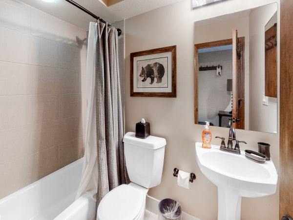 Beaver Creek Bachelor Gulch Home 1017413