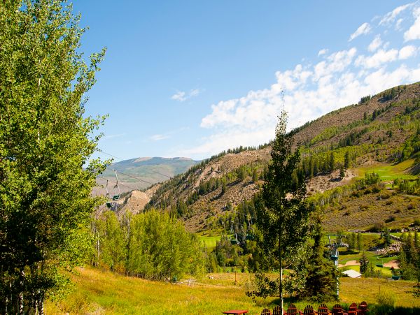 Beaver Creek Bachelor Gulch Home 1017414