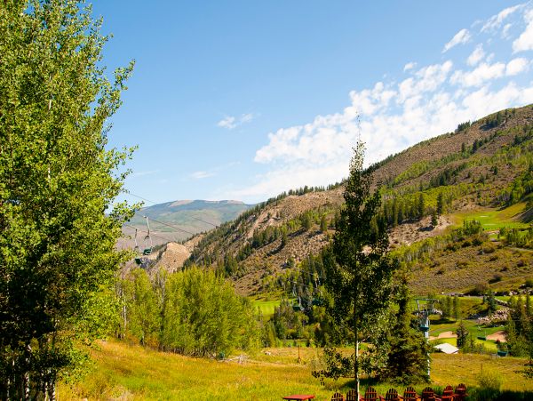 Beaver Creek Bachelor Gulch Home 1017416