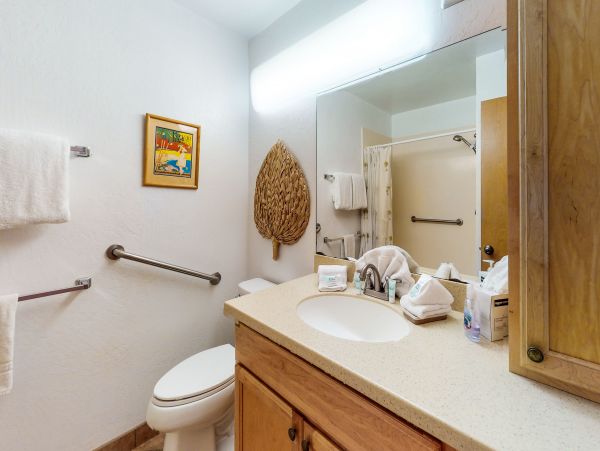Wailea Home 1017420