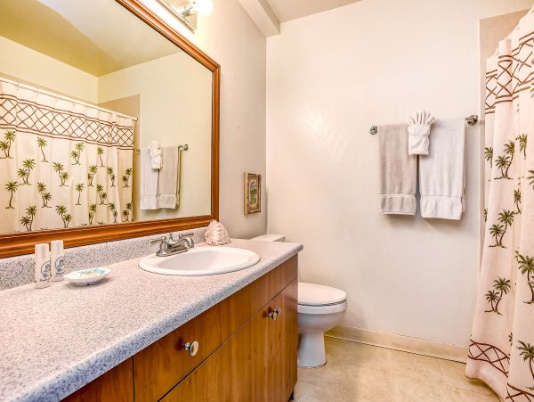 Wailea Home 1017421