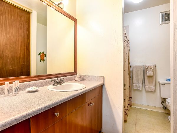 Wailea Home 1017421