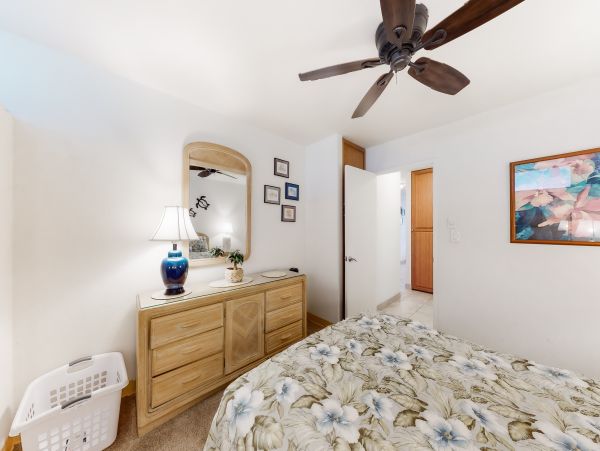 Wailea Home 1017423