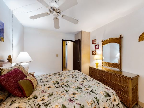 Wailea Home 1017425