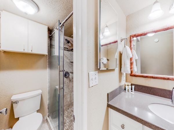 Wailea Home 1017428