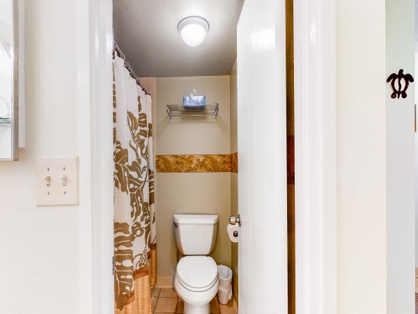 Wailea Home 1017450