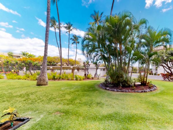 Wailea Home 1017460