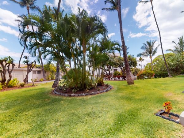 Wailea Home 1017460