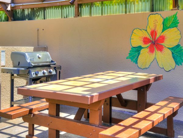 Wailea Home 1017464