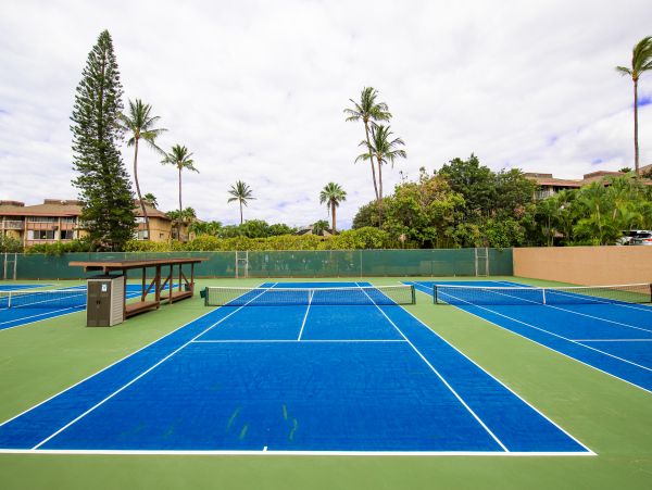 Wailea Home 1017464