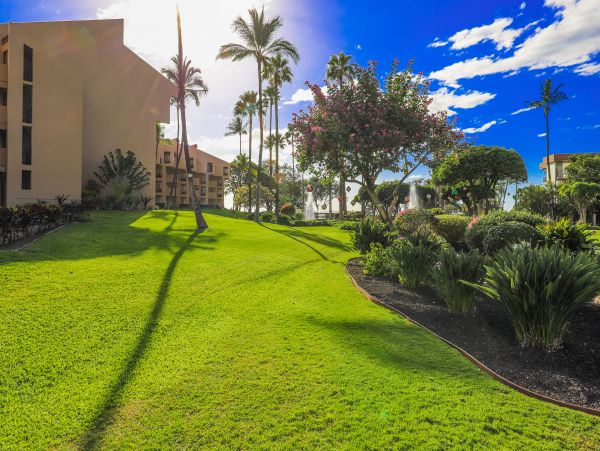 Wailea Home 1017464