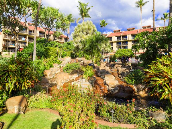 Wailea Home 1017464