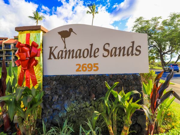 Wailea Home 1017464
