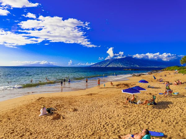 Wailea Home 1017464