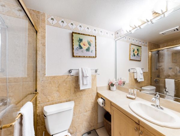 Wailea Home 1017468