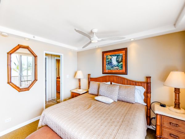 Wailea Home 1017473