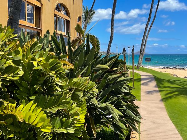 Wailea Home 1017473