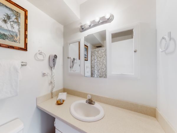 Wailea Home 1017474