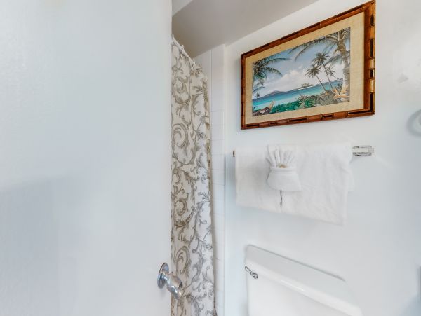 Wailea Home 1017474