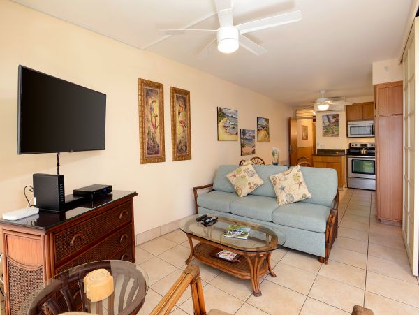 Wailea Home 1017476