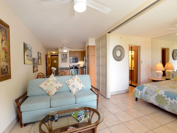 Wailea Home 1017476