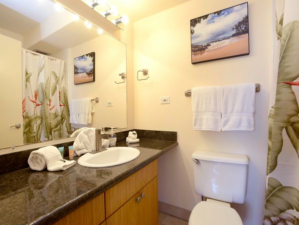 Wailea Home 1017476