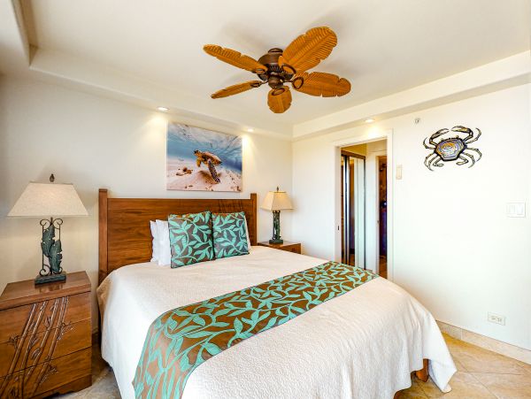 Wailea Home 1017479