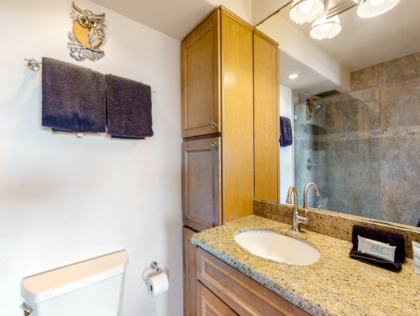 Wailea Home 1017479