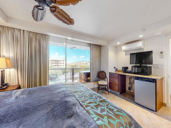 Wailea Home 1017479