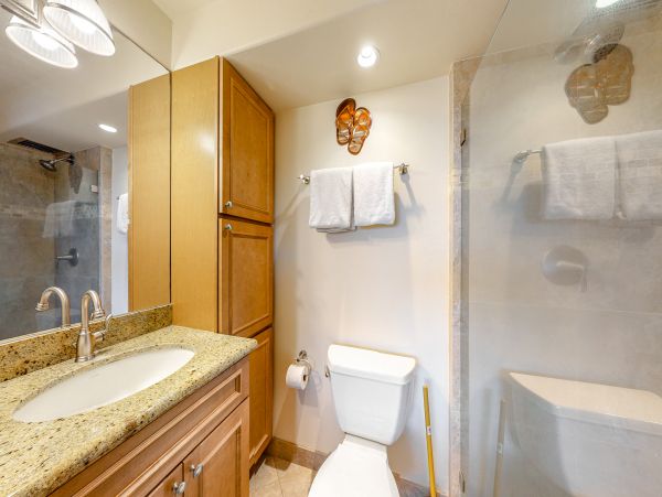 Wailea Home 1017479