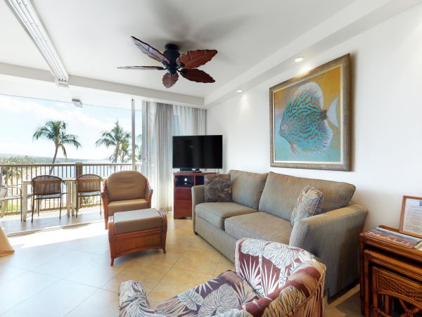 Wailea Home 1017480