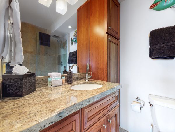 Wailea Home 1017480
